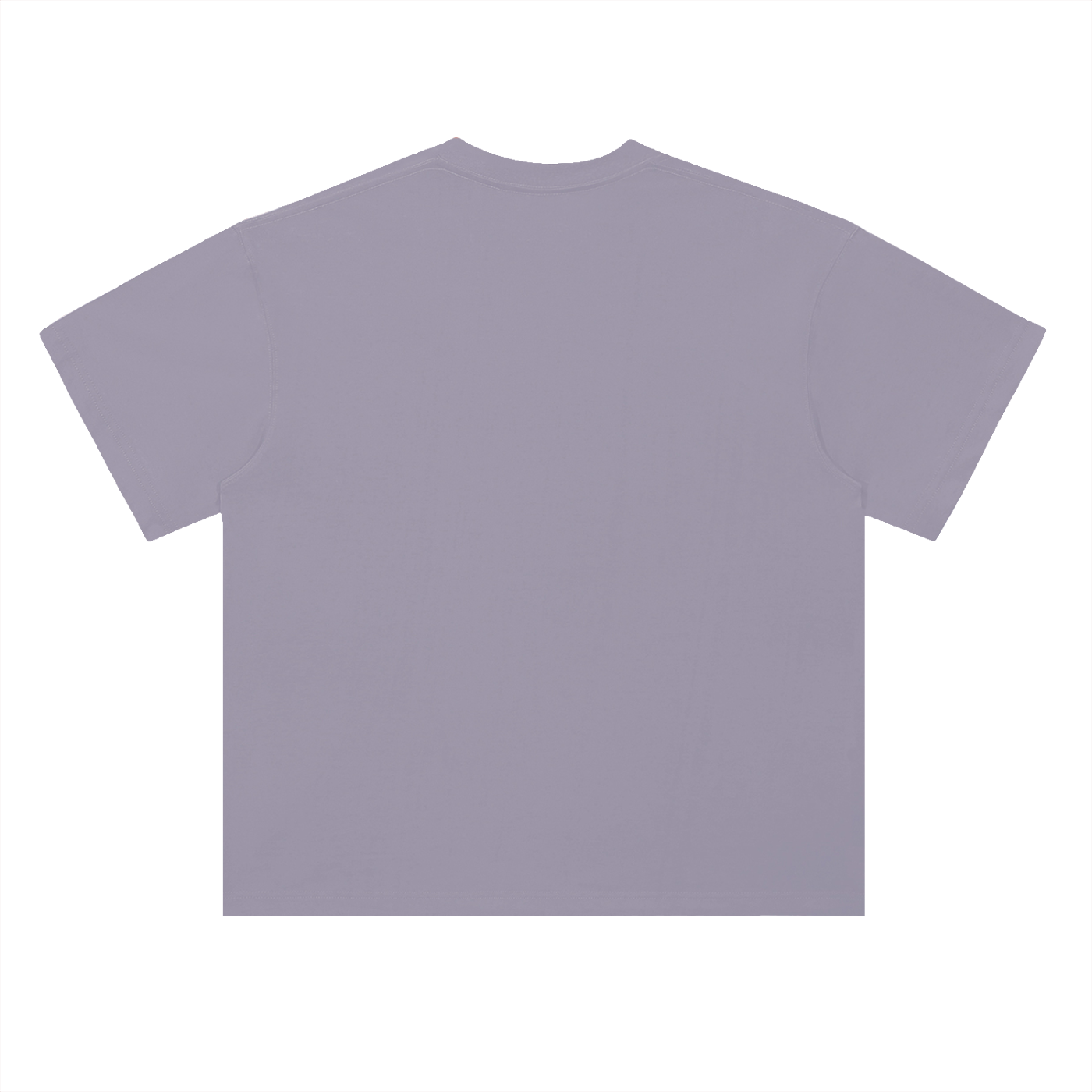 Roots befor Roses T-Shirt