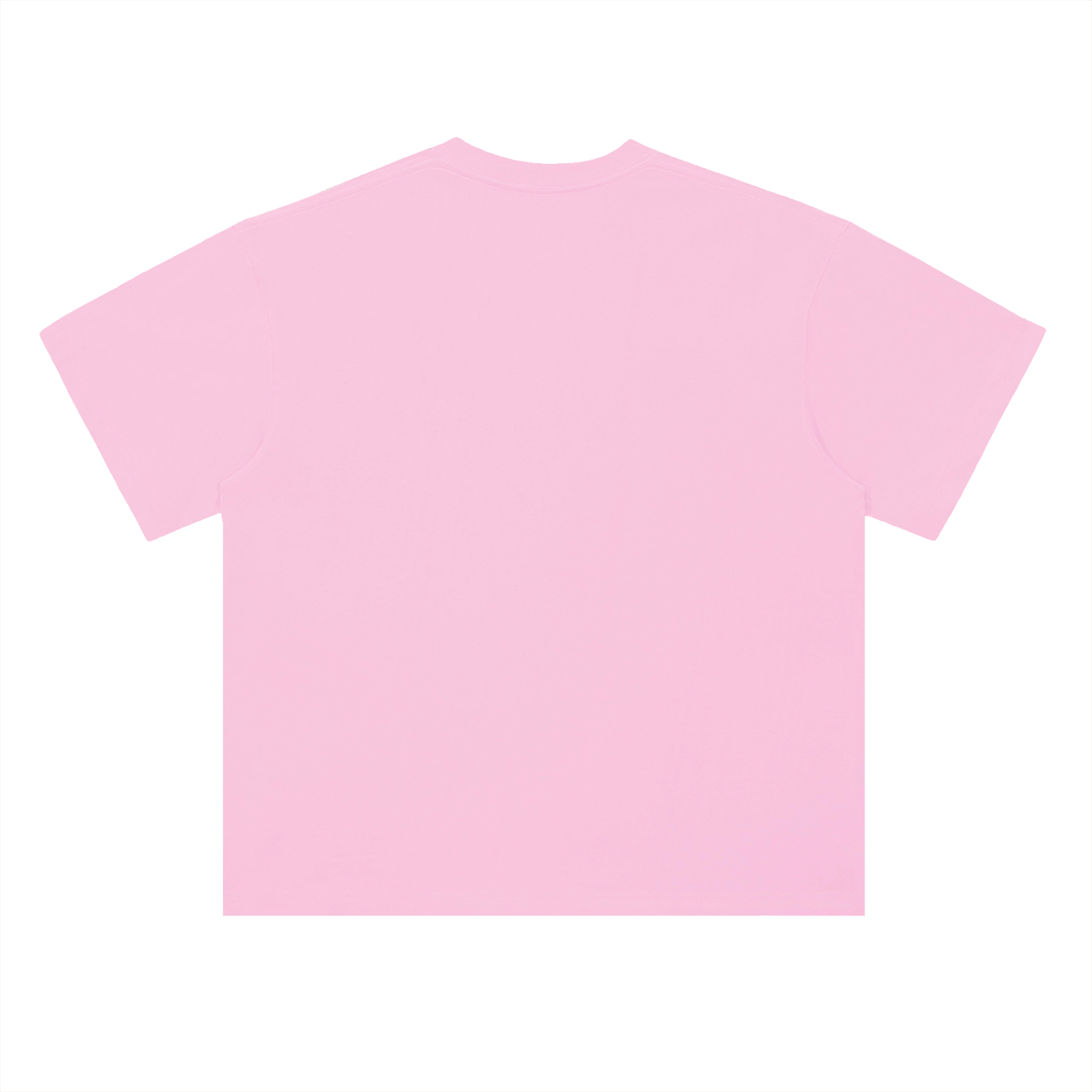 Roots befor Roses T-Shirt